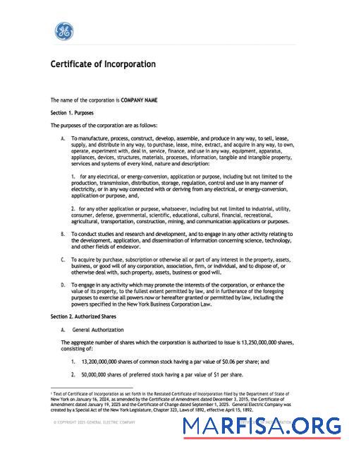 Blank USA New York certificate of incorporation Word and PDF template